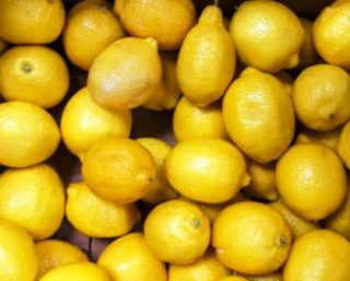 Harga Buah Lemon California