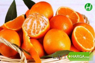Harga jeruk