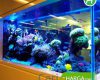 Harga Aquarium Besar
